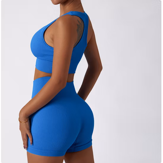 Women′s Sportwear, Knit Clothing, Gym Tops, Female Yoga Clothes